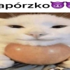Japurzko