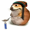 CHOMIKBOX
